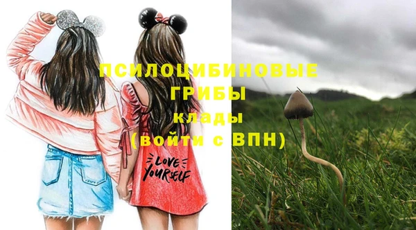 ПСИЛОЦИБИНОВЫЕ ГРИБЫ Володарск